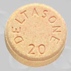 prednisone dosage for allergic reactions